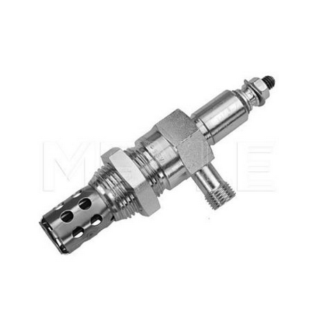 termoavviatore/candel 11v 29A 20x1,5/m10x1 daily iveco 4832279 4776085