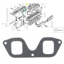 guarnizione collettore aspirazione iveco 4851921