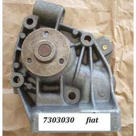 pompa acqua iveco 7303030 17291281 17291280 7303075 98473452 99459759