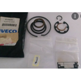 kit pompa servosterzo iveco 8124025