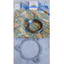 anello/distanziale avantreno mozzo iveco 8581831