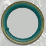 paraolio/anello di tenuta dm interno 62 esterno 80 h 10 iveco 40000283