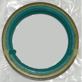 paraolio/anello di tenuta dm interno 62 esterno 80 h 10 iveco 40000283