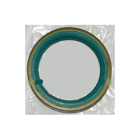 paraolio/anello di tenuta dm interno 62 esterno 80 h 10 iveco 40000283