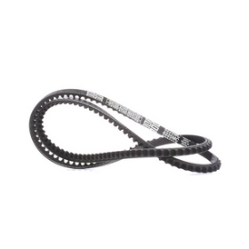 cinghia trapezioidale dentata avx 13x1365 iveco 99481768 99482690