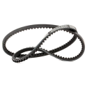 cinghia alternatore avx 10x1015LA iveco 98473702 4818166 4851300