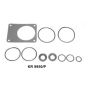kit revisione pompa servosterzo iveco 8281576