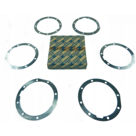 serie spessori differenziale iveco 8124098