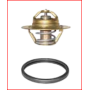 valvola termostatica 60° lema 465060 iveco 42534520