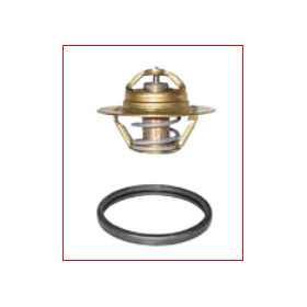 valvola termostatica 60° lema 465060 iveco 42534520