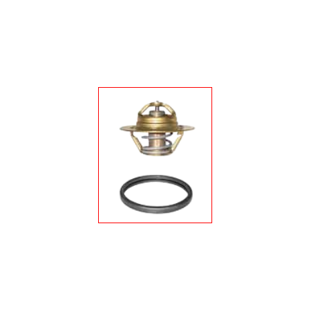 valvola termostatica 60° lema 465060 iveco 42534520