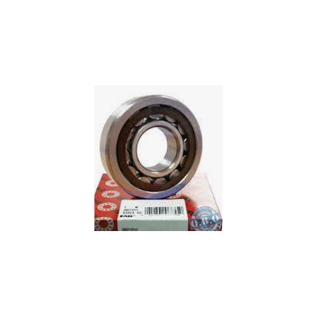 cuscinetto rulli cilindrici corona singola 45x100x25 fag nu 309e.tvp2