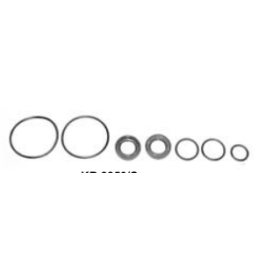 kit revisione pompa servosterzo iveco 8281576