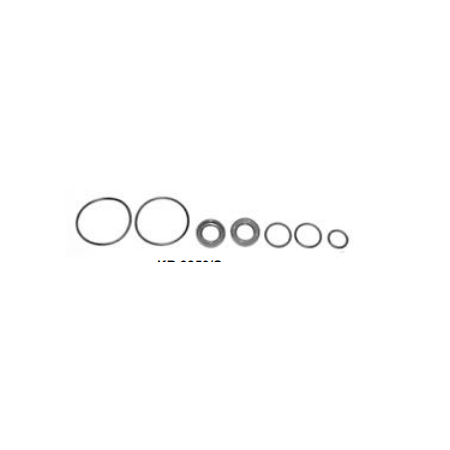 kit revisione pompa servosterzo iveco 8281576