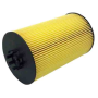 filtro olio motore lion  H 202 dm int 45 dm est 113 man 51055040107
