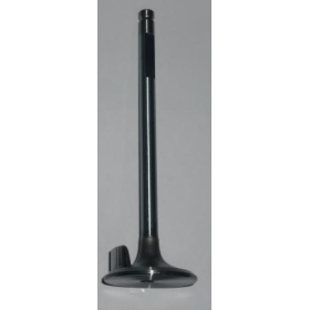 valvola di aspirazione motore iveco 8823545