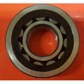 Cuscinetto a rulli cilindrici 35x80x21 rgs 3307