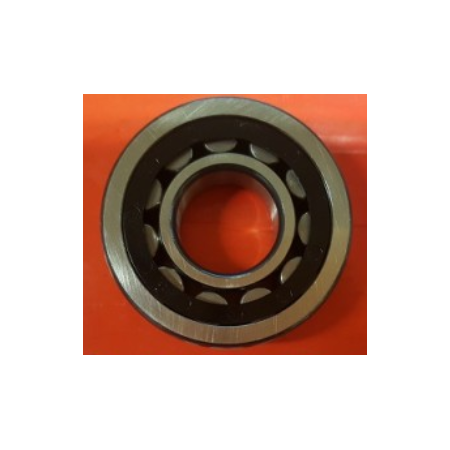 Cuscinetto a rulli cilindrici 35x80x21 rgs 3307