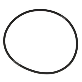 Guarnizione/o ring pompa acqua Cursor 8, 9 Euro 6, cityclass iveco 17291781