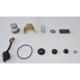 kit revisione valvola regolatrice iveco 8124466