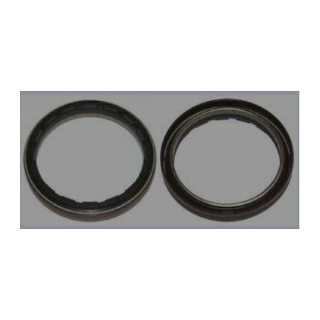 anelloi tenuta assale ant/post scania 1502384 1393331 1380160 1300974