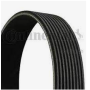 CINGHIA poly-v 9PK1200 man 5196820026 renault 500068668