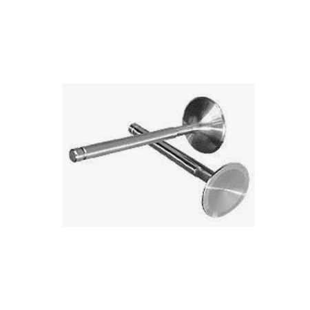 valvola aspirazione motore L 137,5 stelo 8 dm 48,5 iveco 8824754 49770 503473218