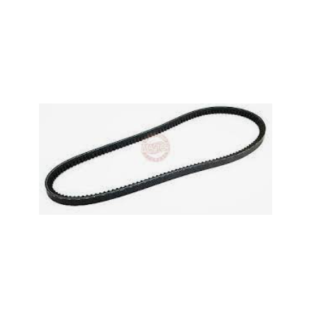 kit cinghie dentate 10x978 iveco 2991701 4624733 4688859 483709