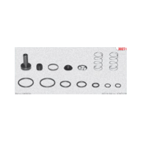 kit revisione valvola servofrizione iveco 93161725