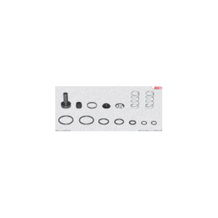kit revisione valvola servofrizione iveco 93161725