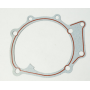 guarnizione piana motore iveco 4842823
