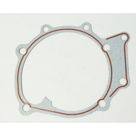 guarnizione piana motore iveco 4842823