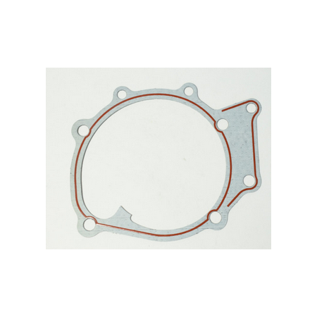 guarnizione piana motore iveco 4842823