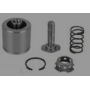 kit revisione pinza freno anteriore iveco 93161244