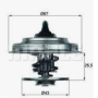valvola termostatica 82° iveco 4831780