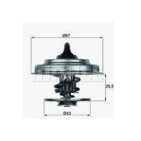 valvola termostatica 82° iveco 4831780