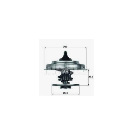 valvola termostatica 82° iveco 4831780