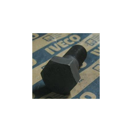 vite calibrata cambio iveco 42493278