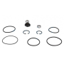 serie guarnizioni per valvola riduttrice di pressione iveco 2968775 9985240, 4300760