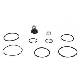 serie guarnizioni per valvola riduttrice di pressione iveco 2968775 9985240, 4300760