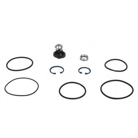 serie guarnizioni per valvola riduttrice di pressione iveco 2968775 9985240, 4300760