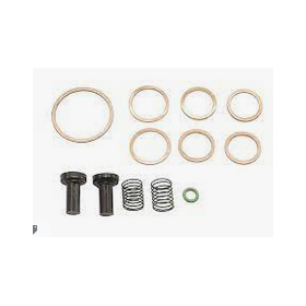 kit revisione distributore accensione scania 550140 renault 5000589824