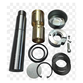 serie particolare perno fuso iveco 1907840