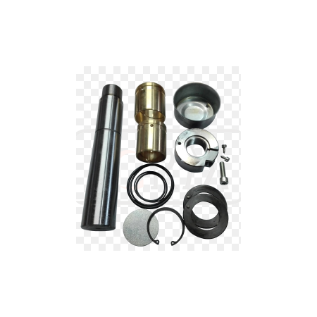 serie particolare perno fuso iveco 1907840
