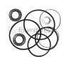 kit pompa servosterzo iveco 42481597 82982574