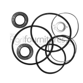 kit pompa servosterzo iveco 42481597 82982574