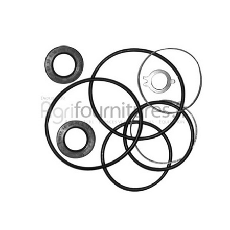 kit pompa servosterzo iveco 42481597 82982574