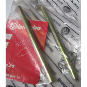perni per pinza freni brembo 98824880 breda 0253585