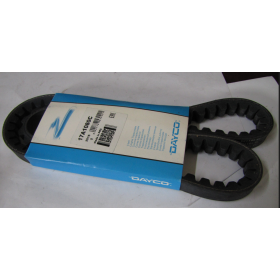 cinghia dayco dentata 17a1080c iveco 300103