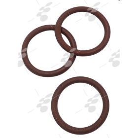 anello/ o ring pompa acqua a70.14 iveco 98458442